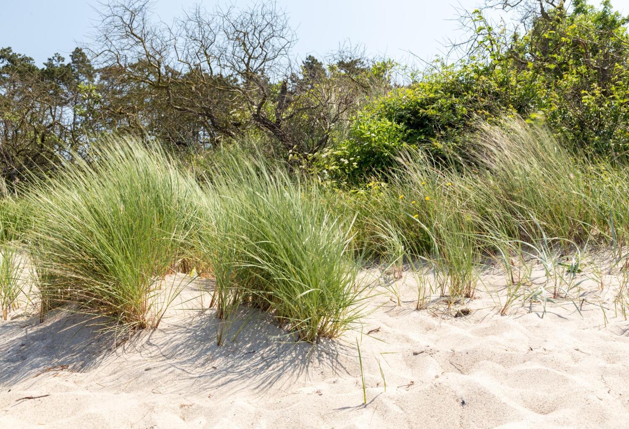 רוסטוק Villa Schmidt - Strandhaus Direkt Am Meer Mit Sauna, Sport Und Duenengarten II מראה חיצוני תמונה